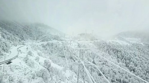 欧博代理平台